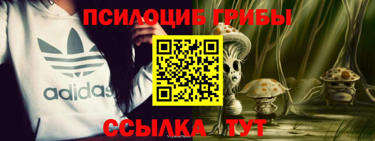 Псилоцибиновые грибы Cubensis  Вход с VPN  Дзержинский 